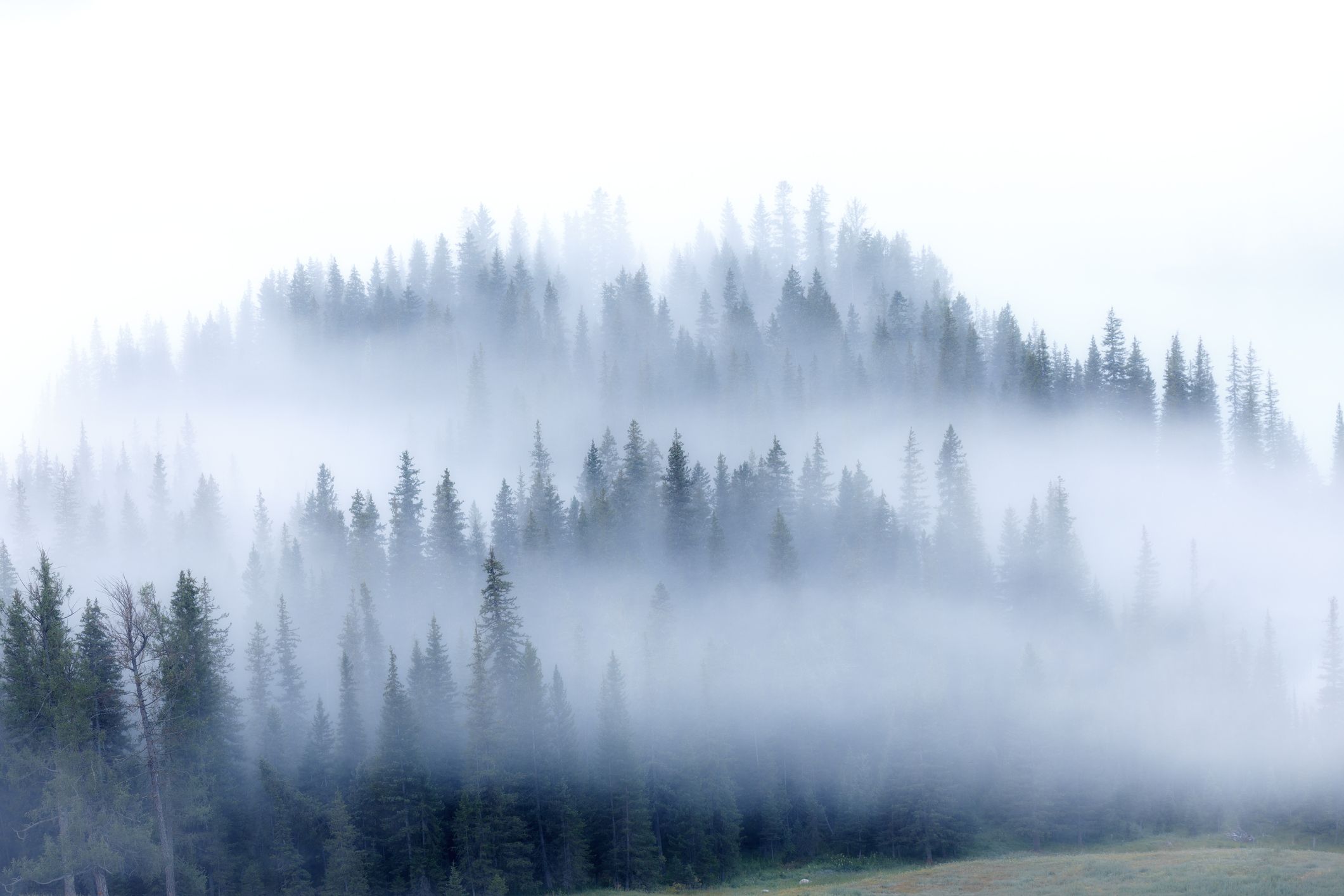 Image for Reducing the Fog of War by Increasing Cybersecurity Readiness blog post