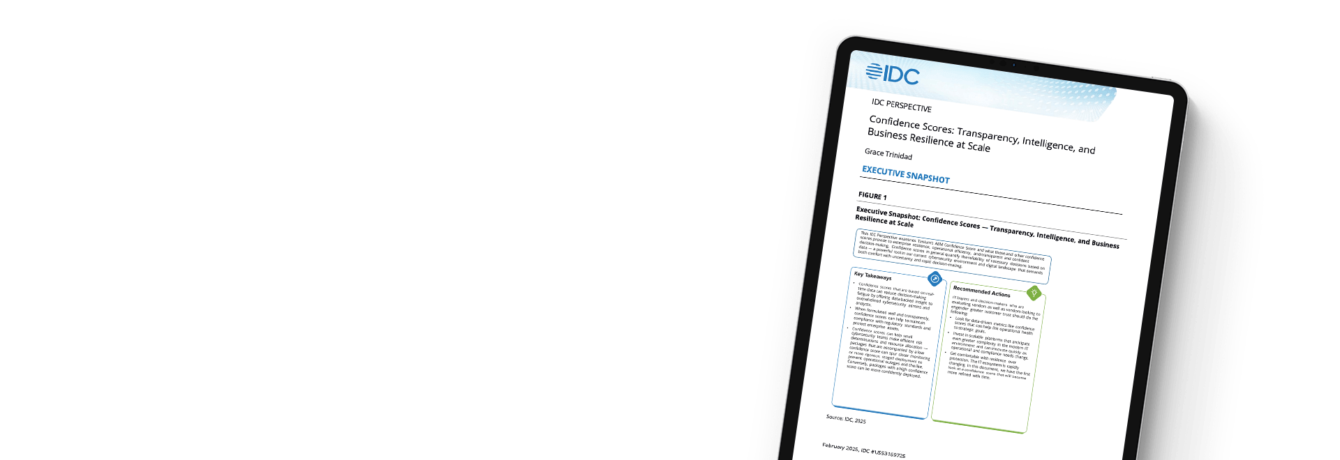 IDC Perspective Confidence Scores report page