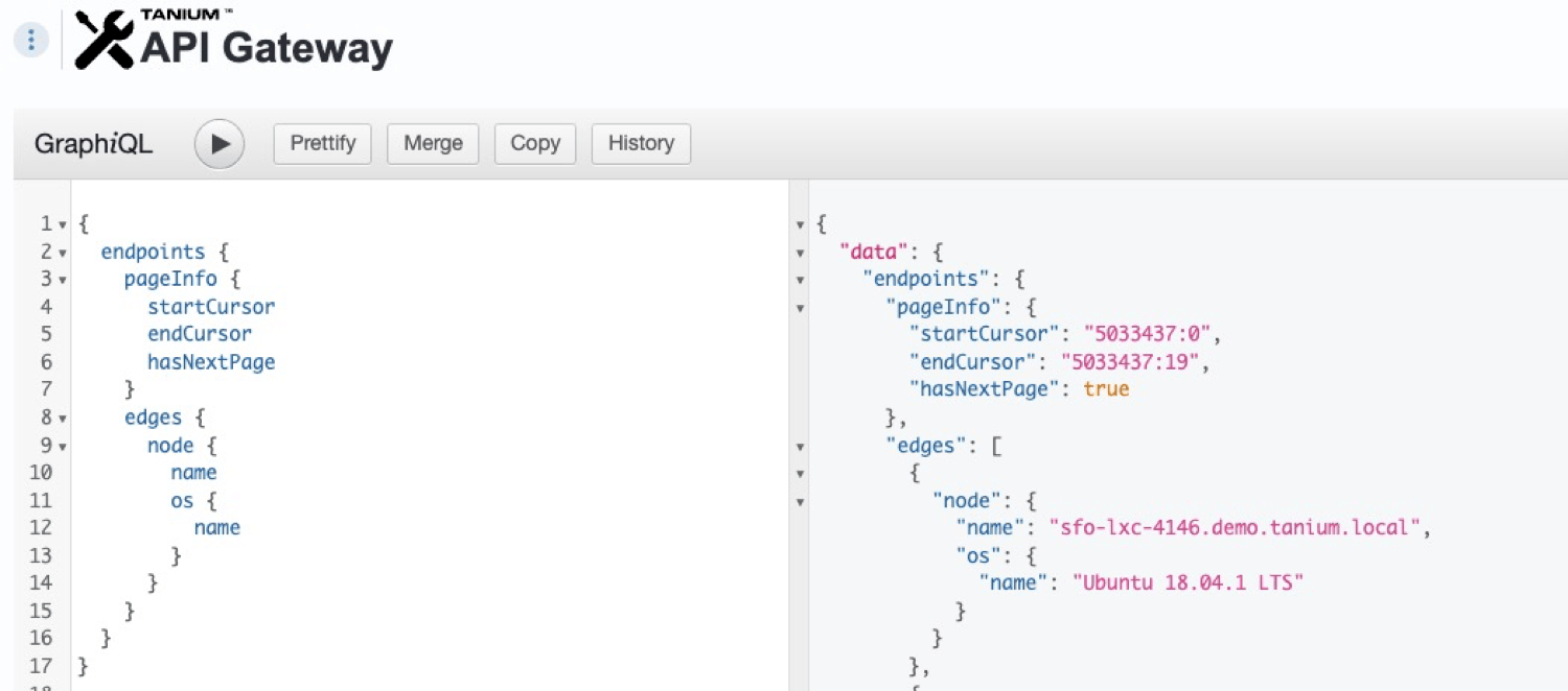 Screenshot 5: Enabling “pageInfo” information on a graphQL Query