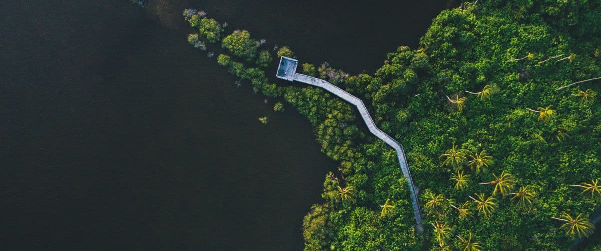 5 Ways to Secure and Streamline the WFH Supply Chain