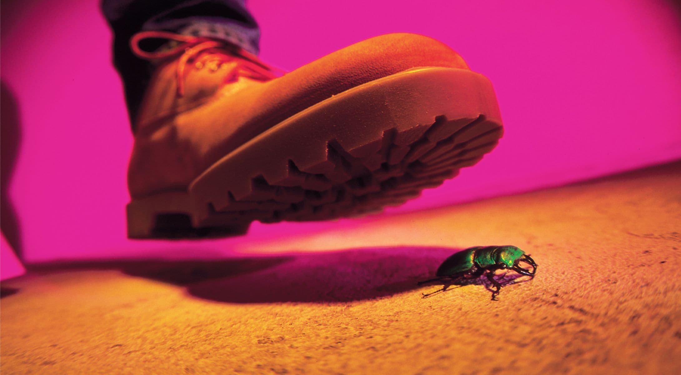 2038 Bug Survival Guide: Lessons From Leap Year Code Issues