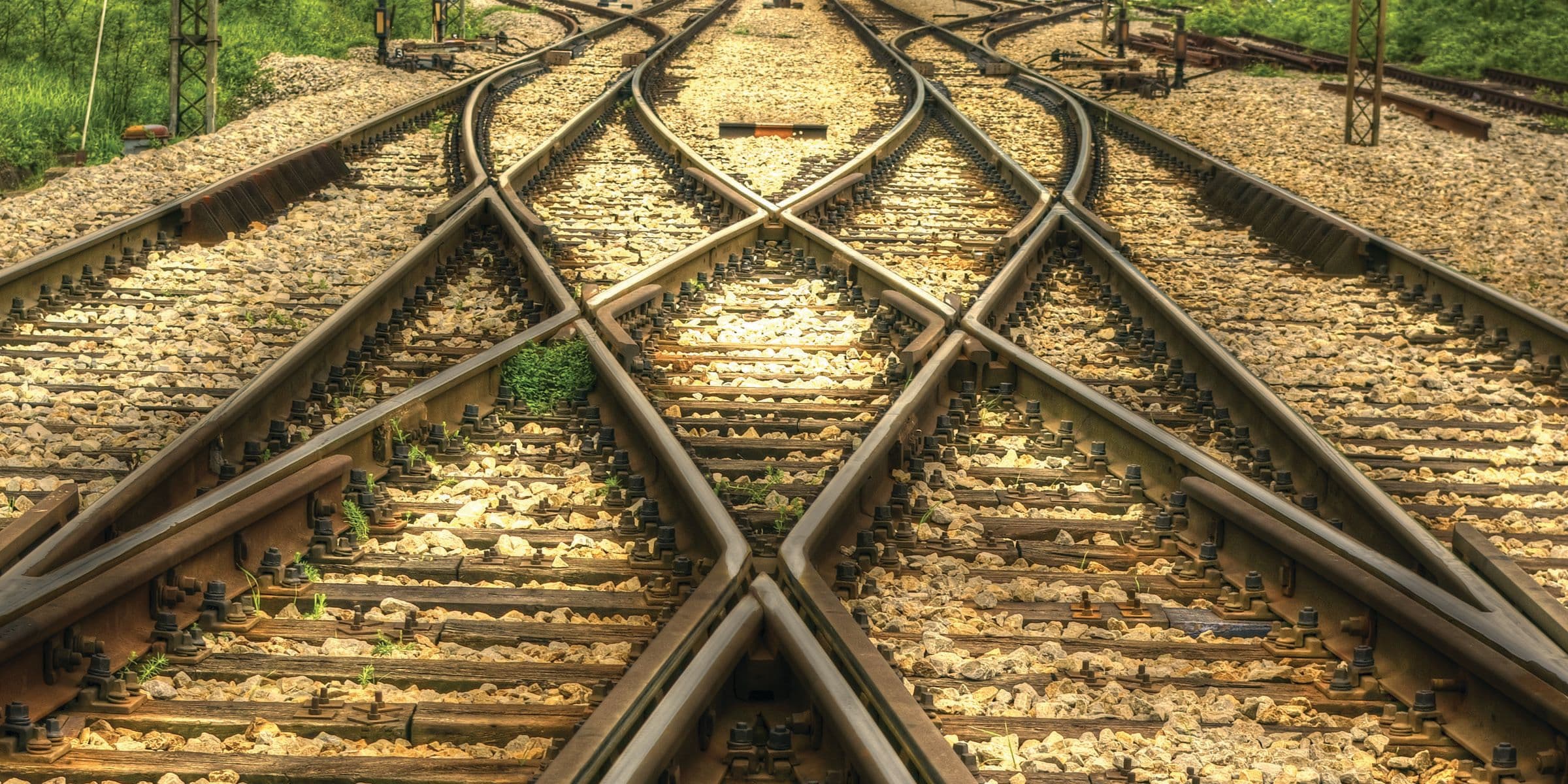 CEOs at the Crossroads