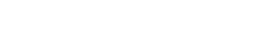 Net One Systems