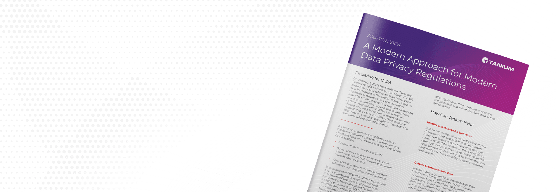 A Modern Approach for Modern Data Privacy Regulations Solution Brief