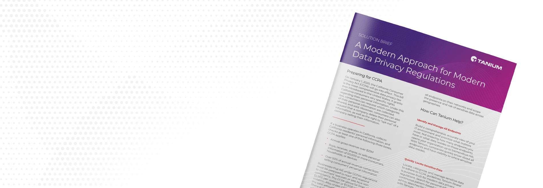 A Modern Approach for Modern Data Privacy Regulations Solution Brief