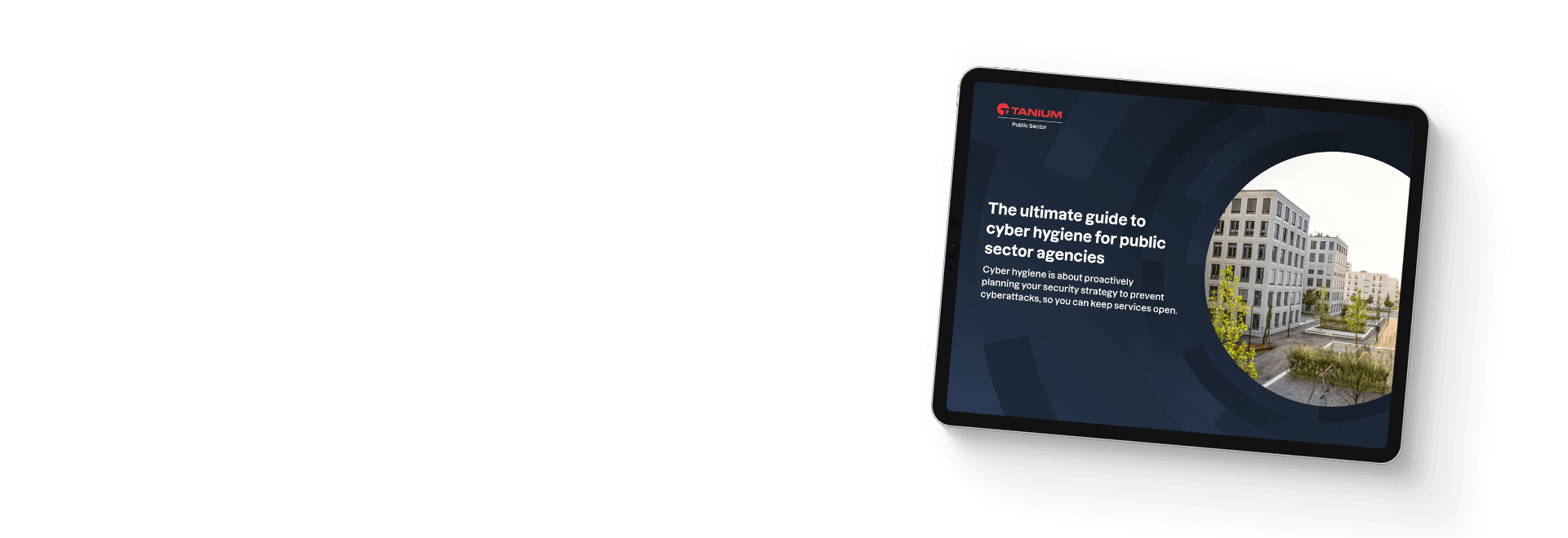 EBOOK The ultimate guide to cyber hygiene for public sector agencies