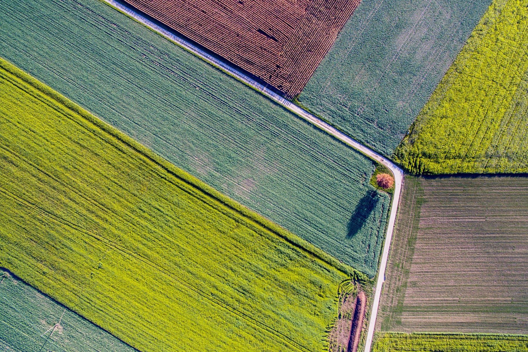 Featured image for patch management best practices blog post