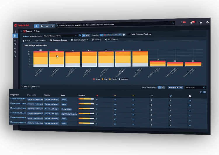 Tanium Cloud Workloads
