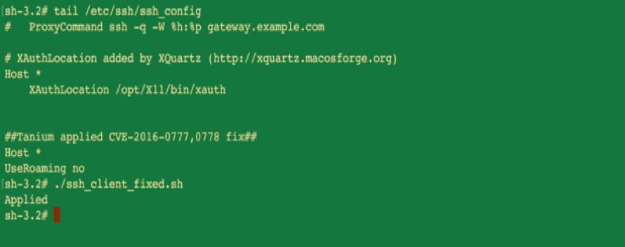 Terminal output showing successful OpenSSH vulnerability remediation with verification confirmation