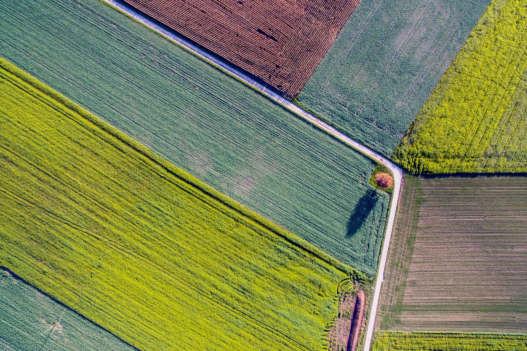 What is patch management? Your automation starter guide