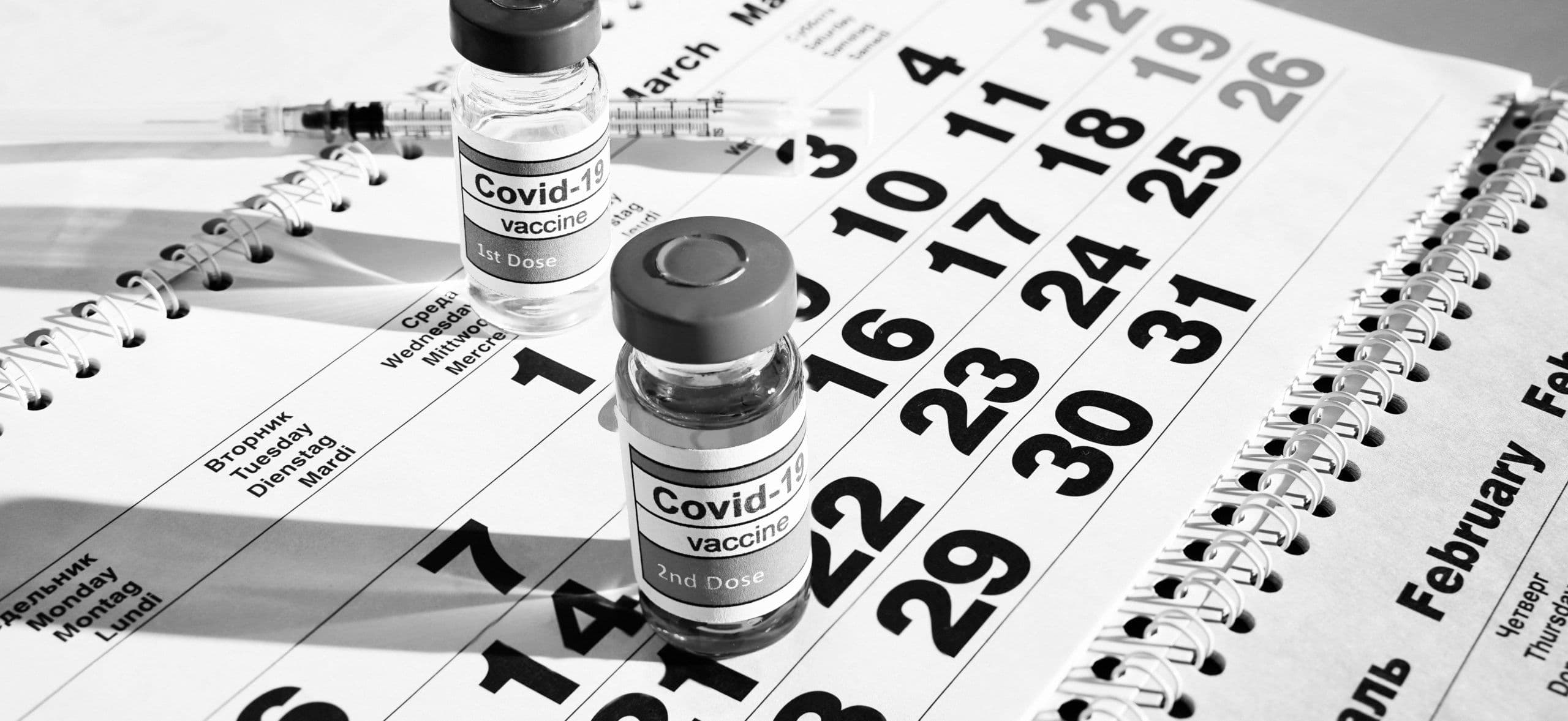 Supply Chain Risks to the Vaccine Rollout