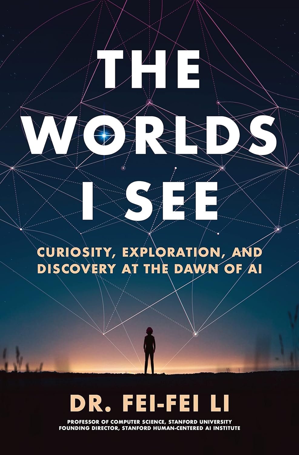 The book cover of The Worlds I See, which depicts the silhouette of a woman standing far off in the distance on a flat plain at dawn.