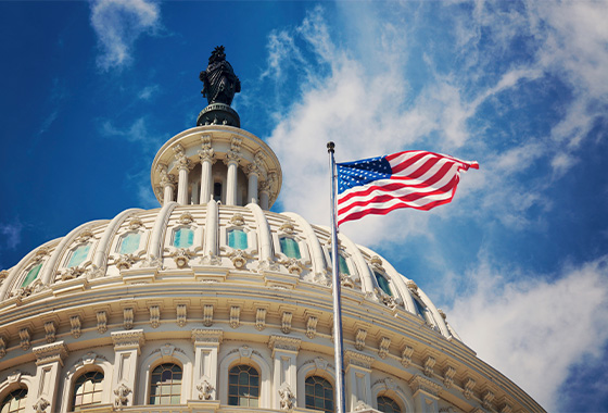 Image of the US flag in front of the capital building in Washington DC