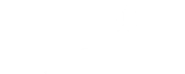 White PWC logo