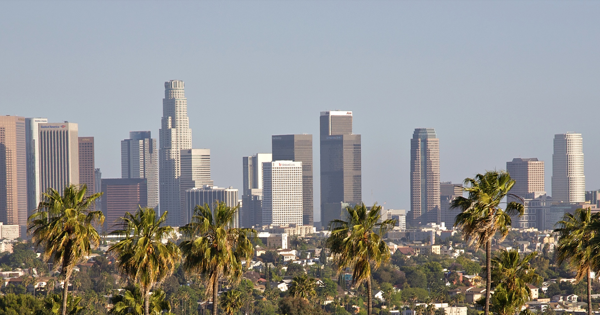 Photo of a row of palm trees, with the downtown Los Angeles skyline in the distance.