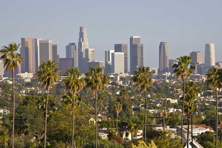 A photo of a row of palm trees with the downtown Los Angeles skyline in the distance.