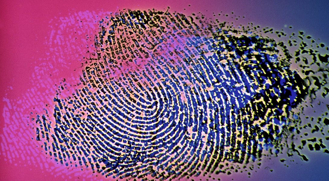 An image of a fingerprint in vivid shades of pink, magenta, lavender and black.