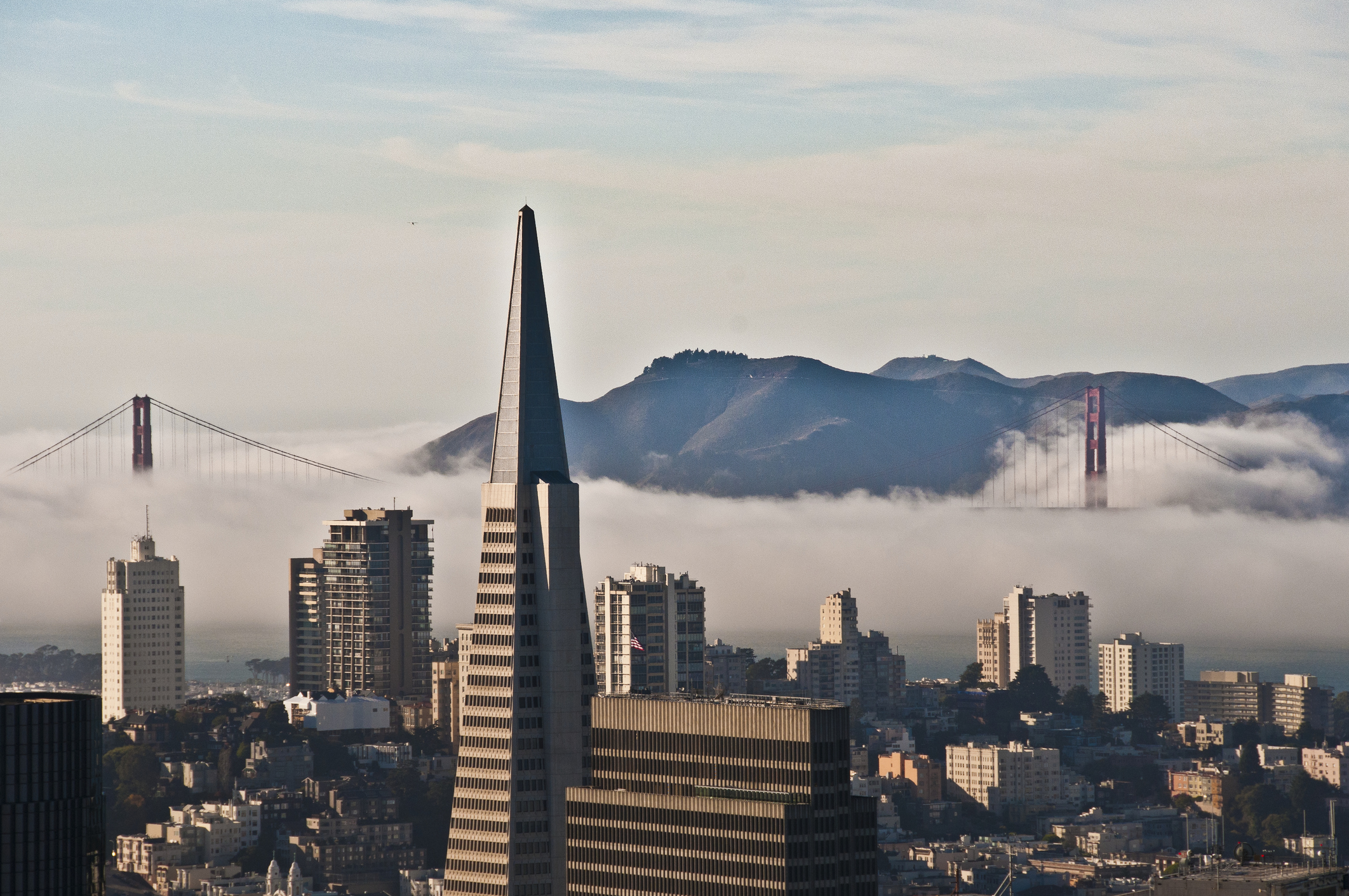 A photo of the San Francisco skyline, with the Transamerica Pyramid tower in closeup and the Golden Gate Bridge peeking out of fog in the background.
